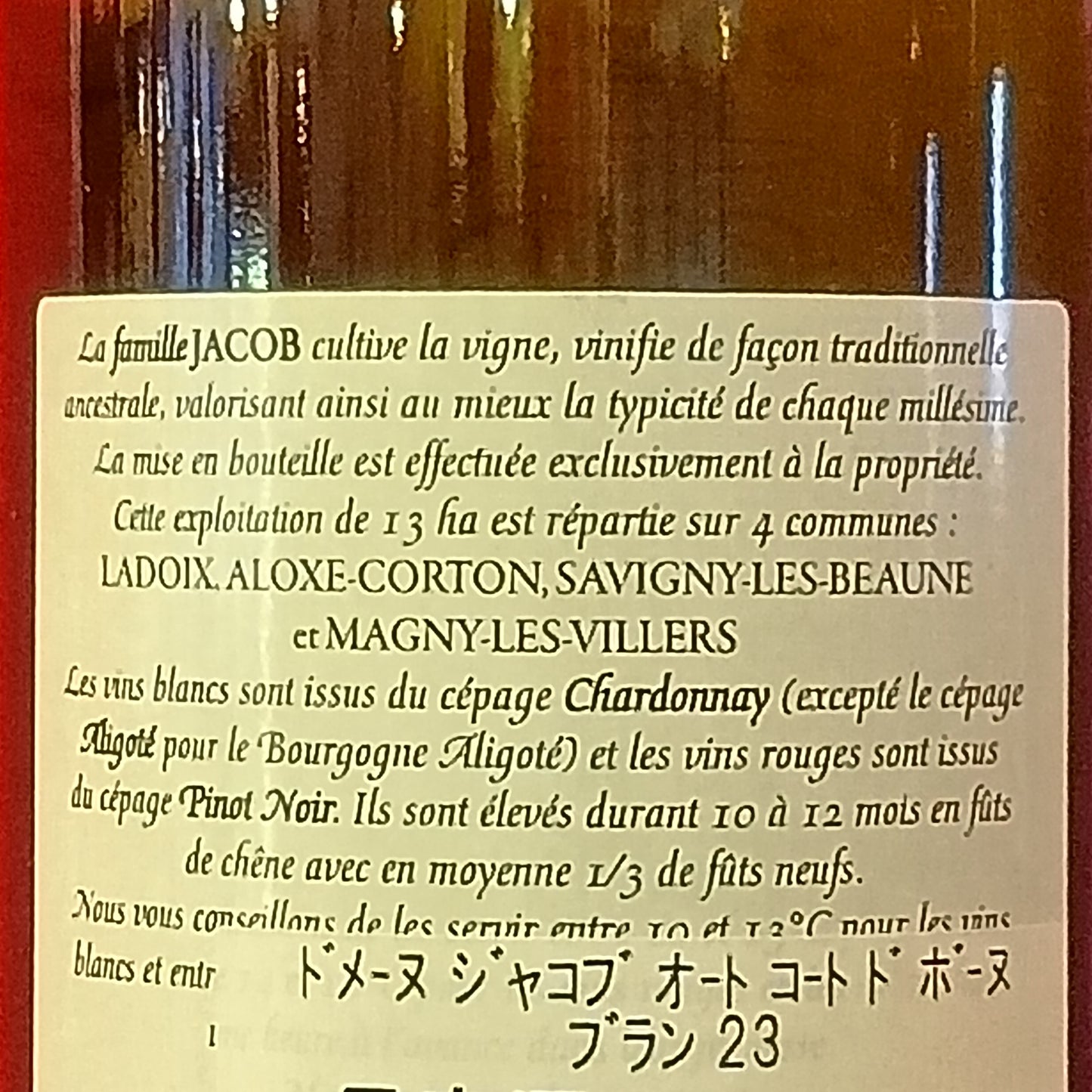 ブルゴーニュ オート・コート・ド・ボーヌ ブラン 白 2023 ドメーヌ ジャコブ