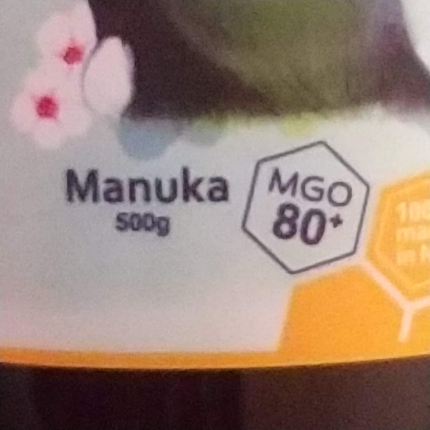 マヌカハニー ラティザン・ハニー MGO80+ 500g