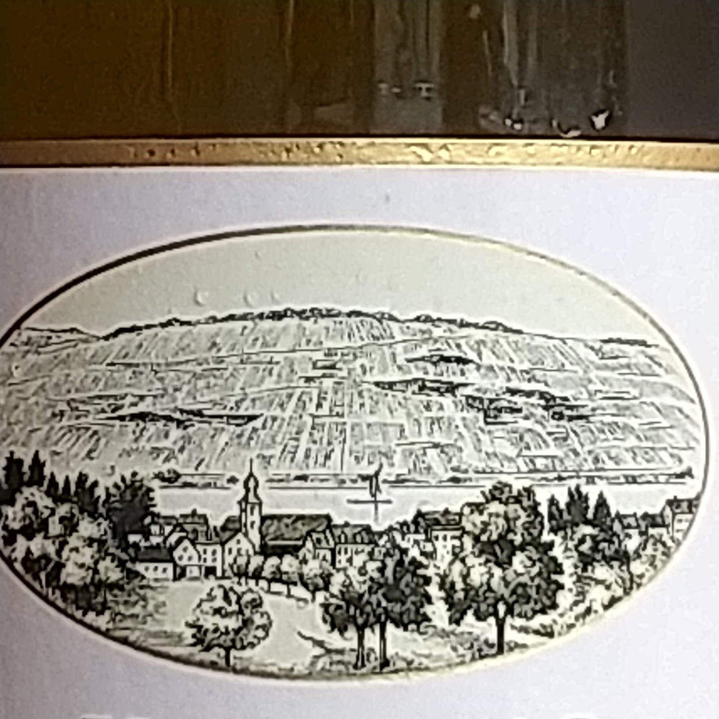 フリッツ ハーク ウ゛ァイスブルグンダー クウ゛ァリテーツウ゛ァイン トロッケン/フリッツ ハーク 2021 🟨白