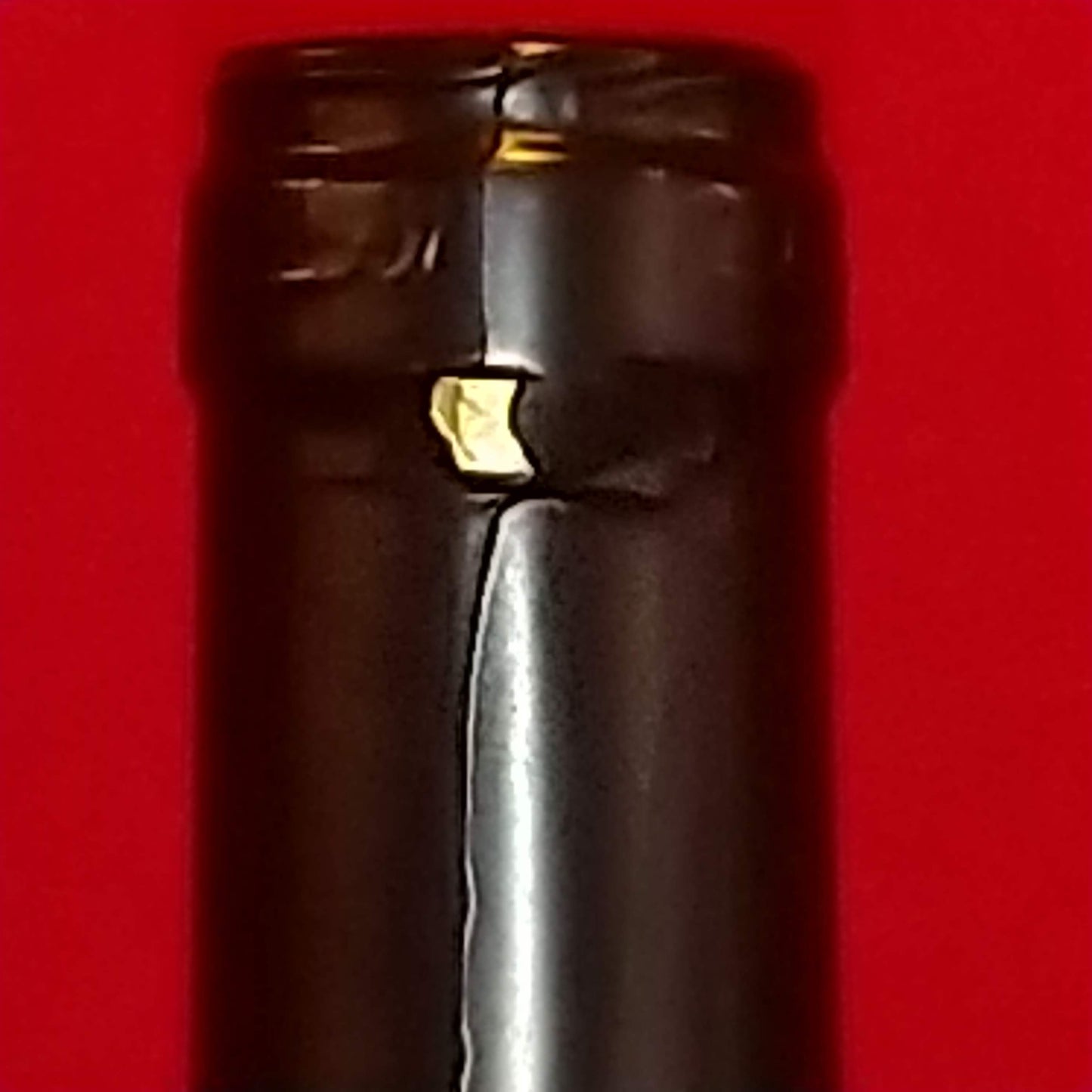 シュペートブルグンダー クヴァリテーツヴァイン トロッケン ★★★ /ワイングート ラインホールト コーネリア シュナイダー 2017 🟥赤