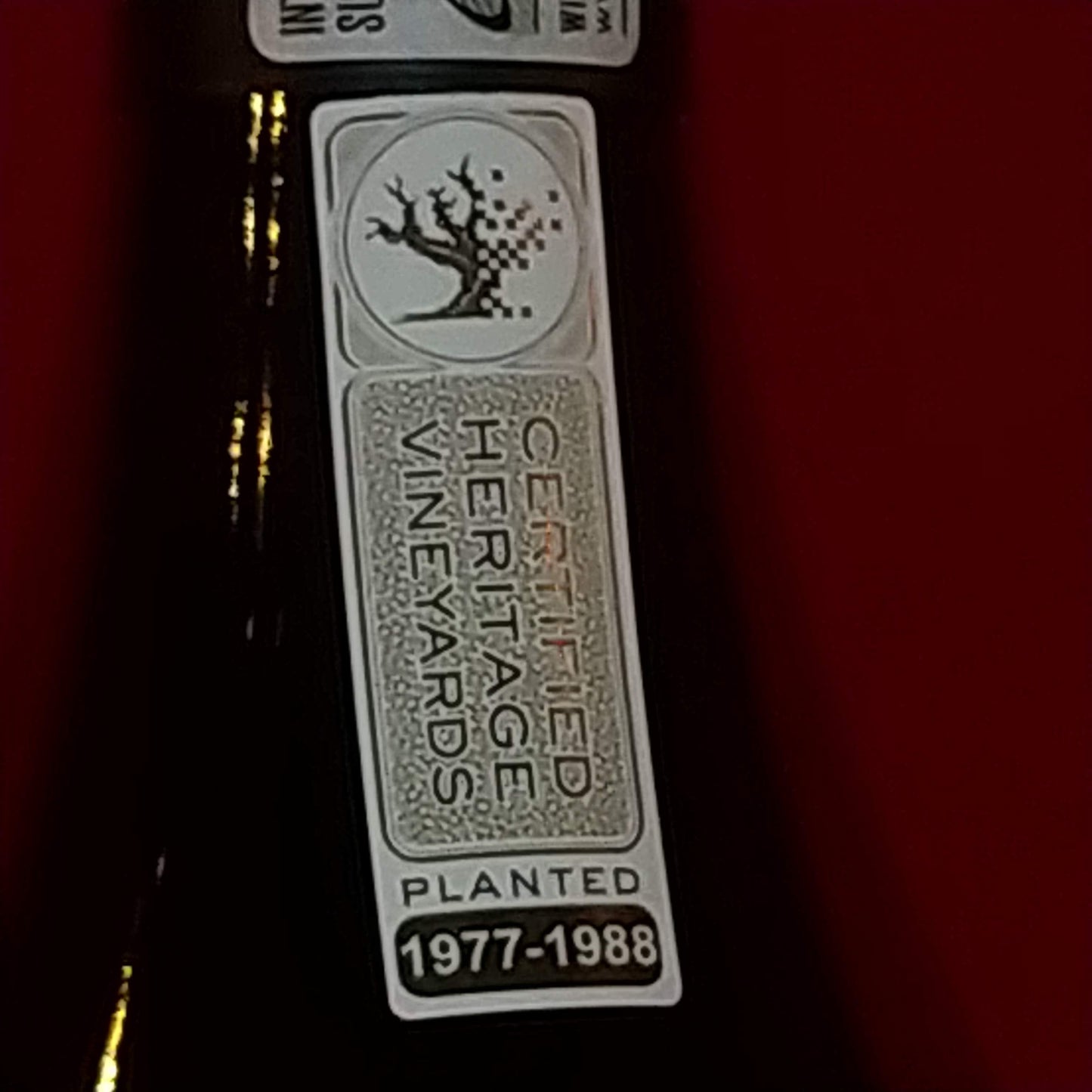 クライン・ザルゼ ヴィンヤード・セレクション シュナン・ブラン 2023 🟨白