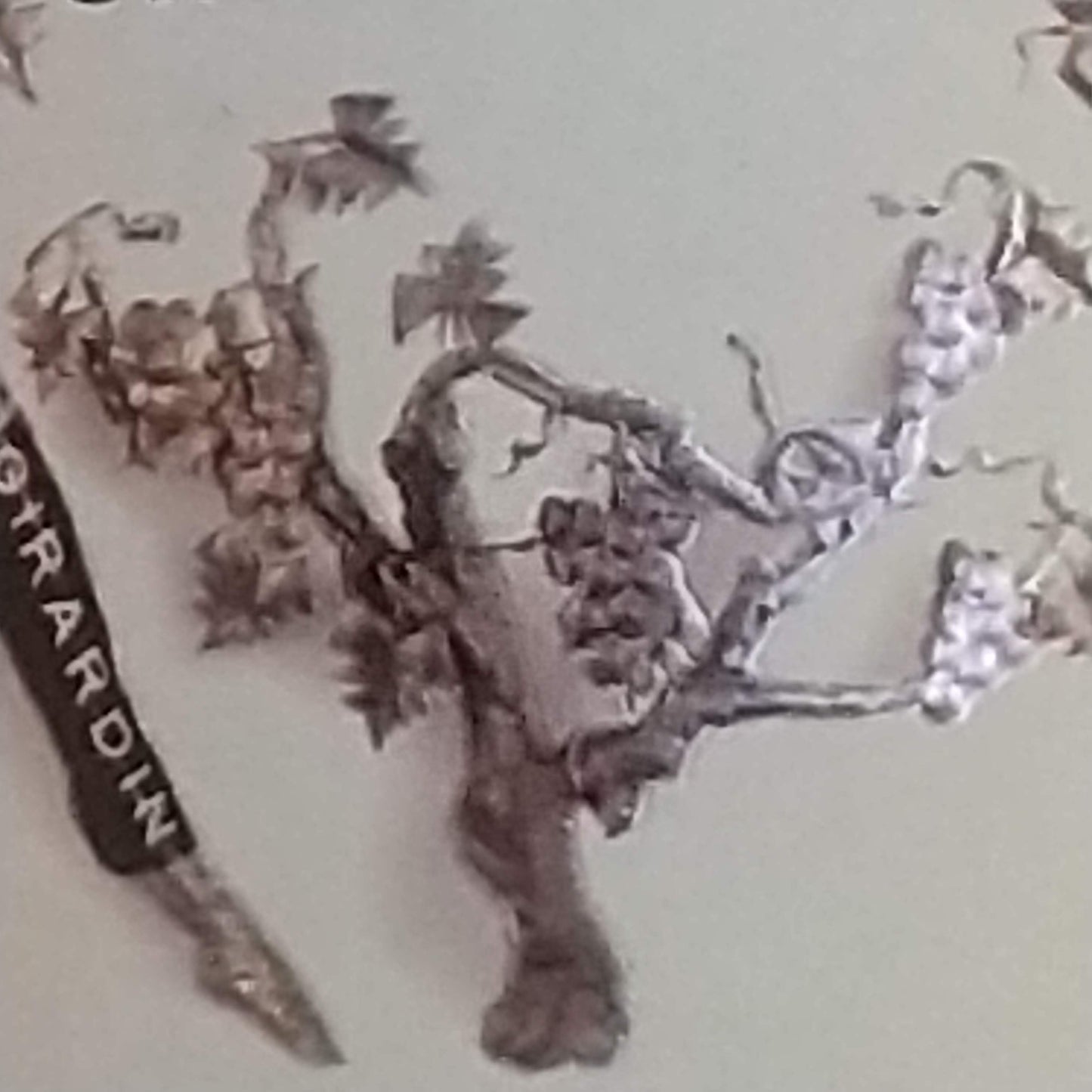 エモーション ブルゴーニュ ブラン /ヴァンサン ジラルダン 2021 🟨白