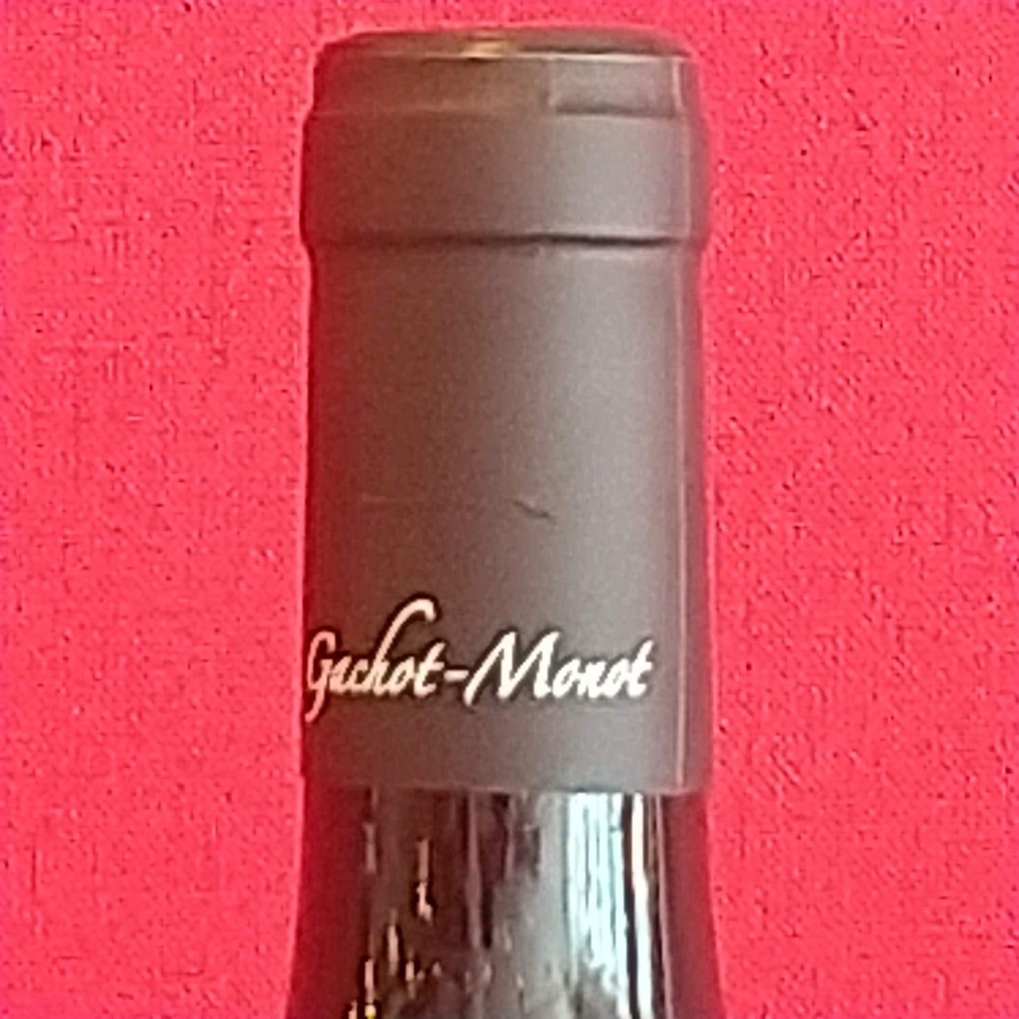 ドメーヌ ガショ モノ コート ド ニュイ ウ゛ィラージュ 赤 2021 🟥赤