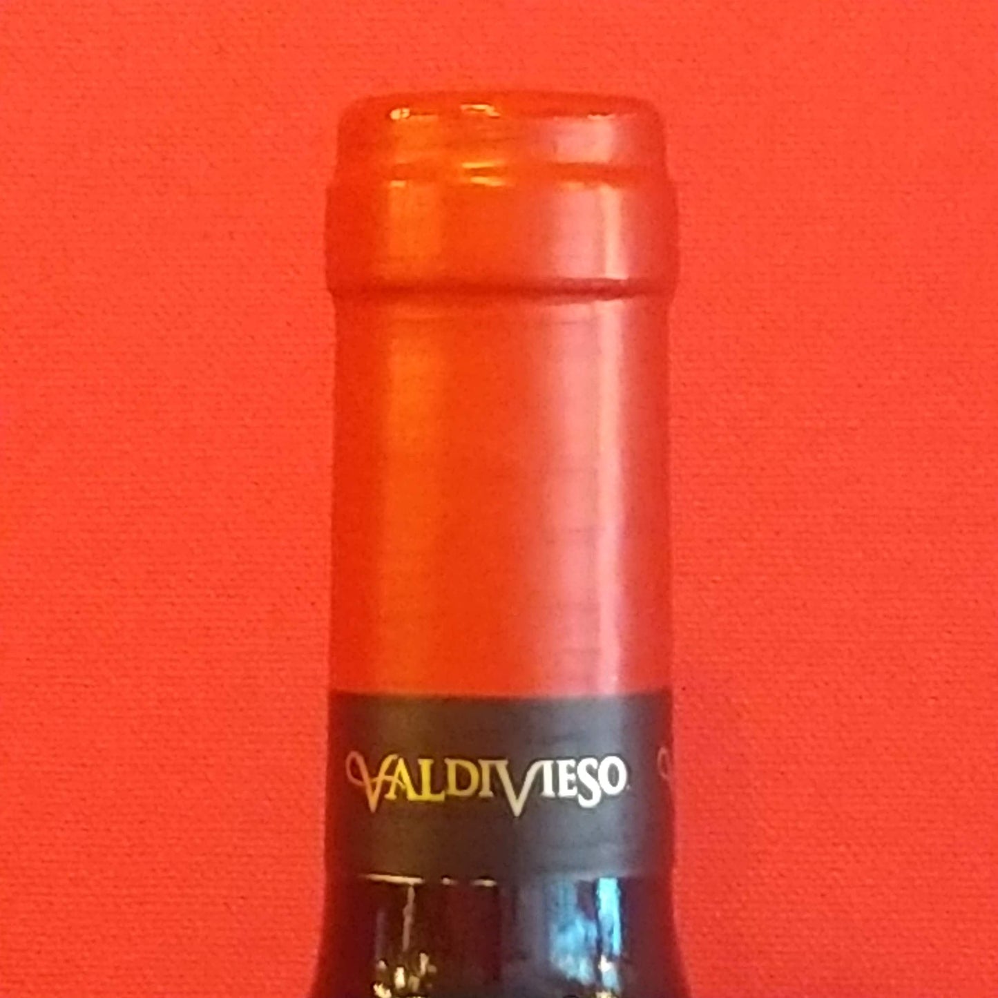 シングルヴィンヤード マイポ・ヴァレー カベルネ・ソーヴィニヨン レセルバ 2013 /ビーニャ・バルディビエソ🟥赤