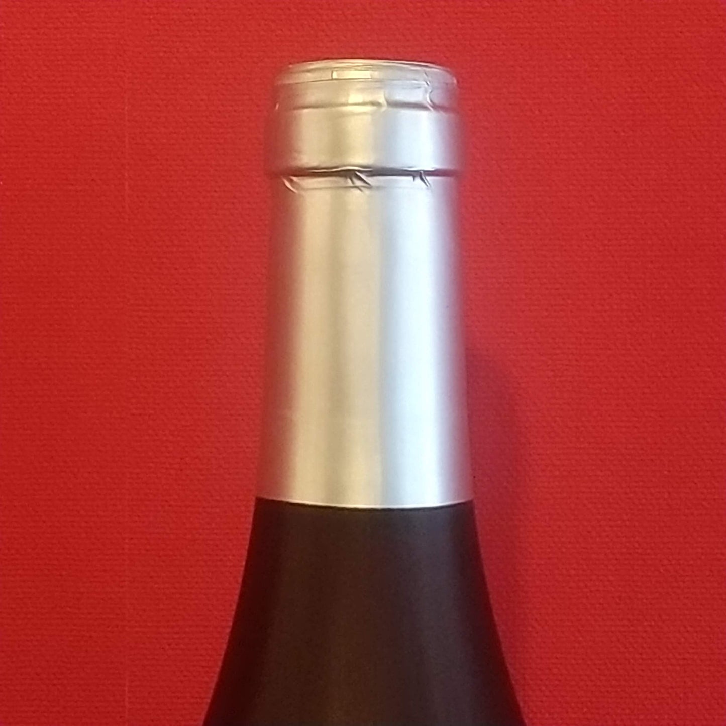 アンソリット サンセール ブラン 2019 ドメーヌ フランク・ミレ 🟨白