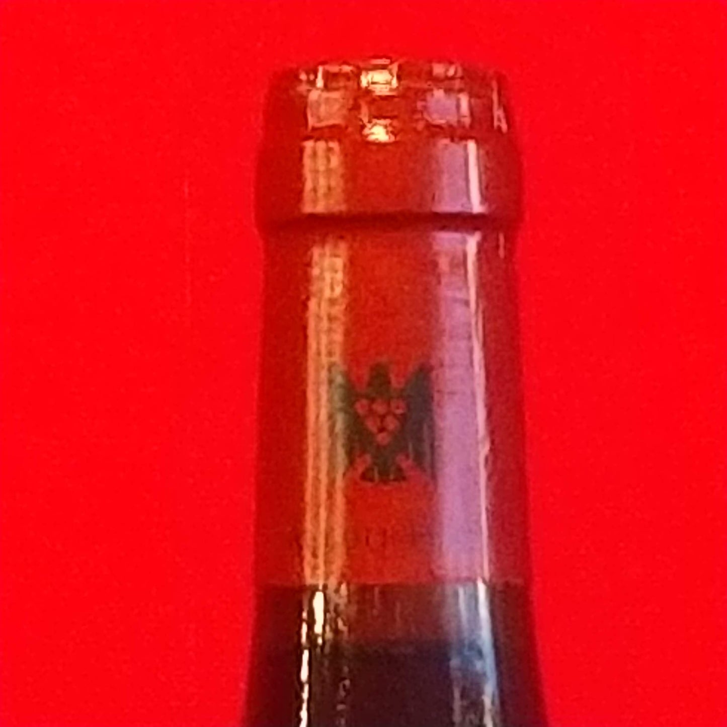 ビュルクシュタッター シュペートブルグンダー 2022 ルドルフ・フュルスト