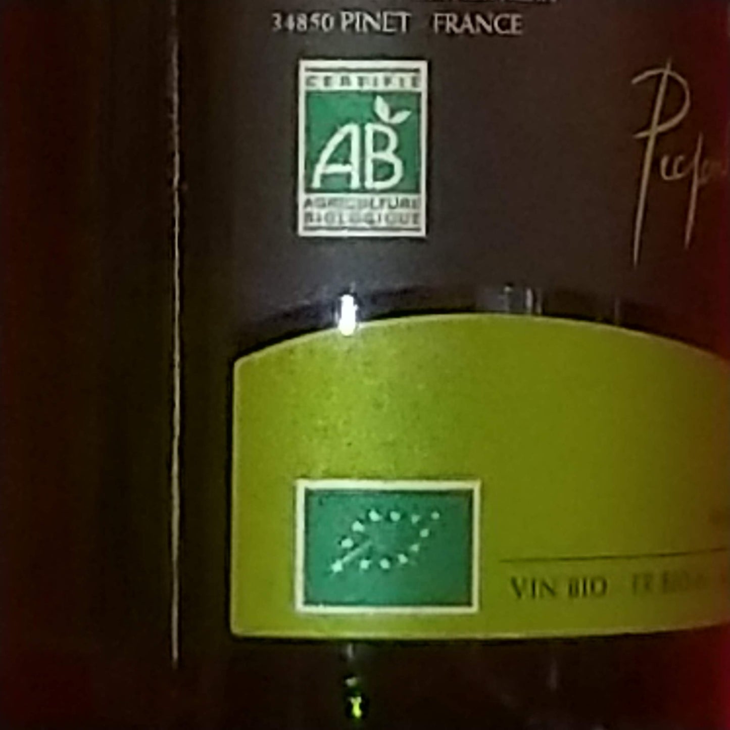 ピクプール・ド・ピネ 2023 ドメーヌ・アザン