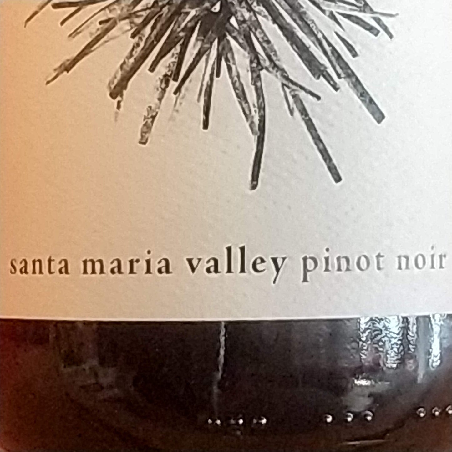 アルタ・マリア alta maria ヴィンヤード ピノ・ノワール 2021 カリフォルニア
