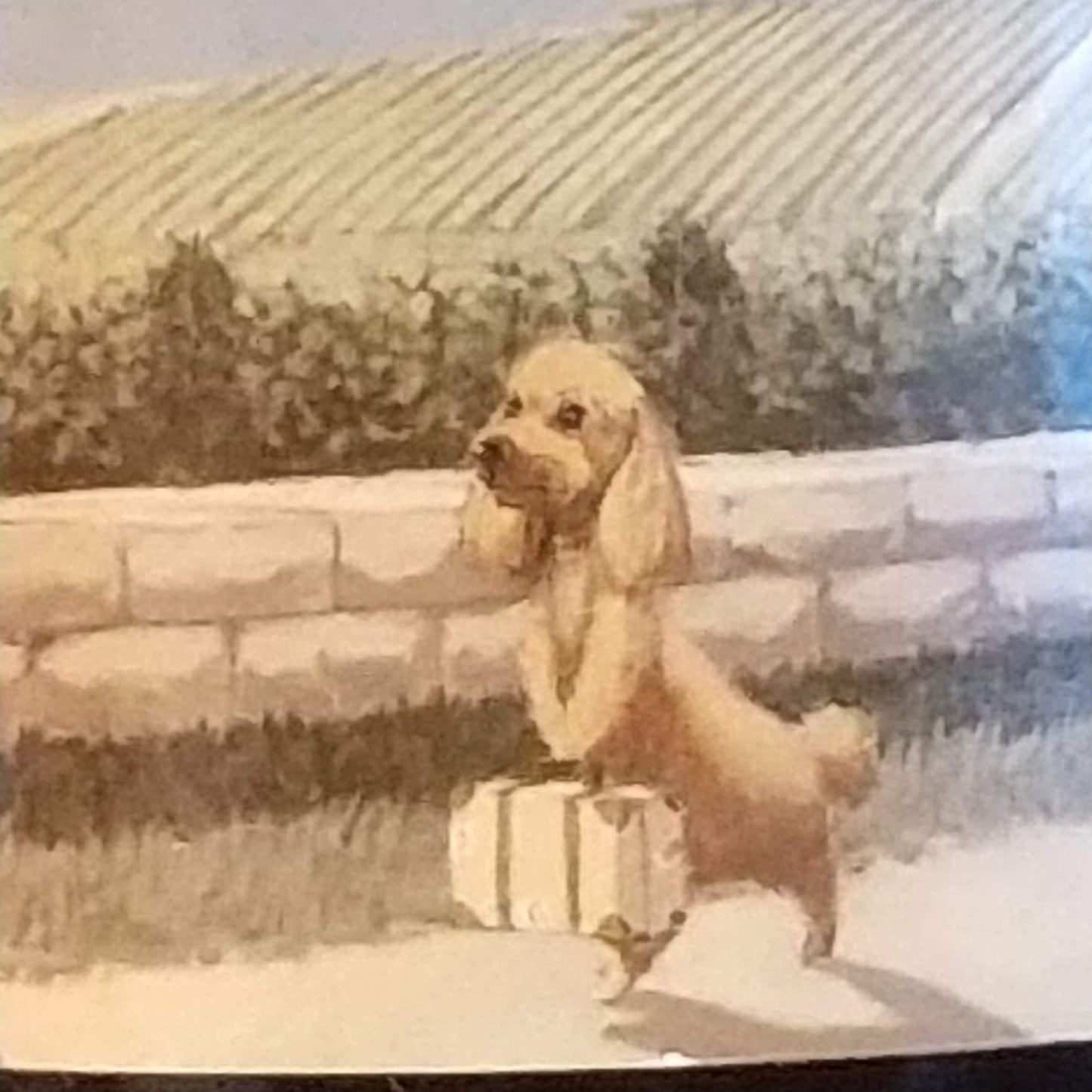 ブリュット レゼルヴ キュヴェ・ル・ヴォヤージュ・ド・ヴァイヨン(マタン) NV / アルノード・ド・シューラン