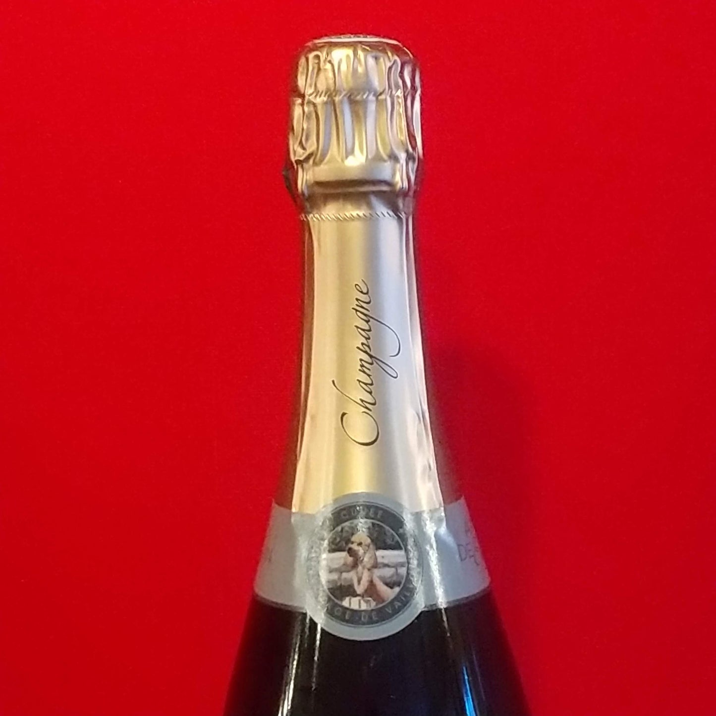 ブリュット レゼルヴ キュヴェ・ル・ヴォヤージュ・ド・ヴァイヨン(ミディ) NV / アルノード・ド・シューラン