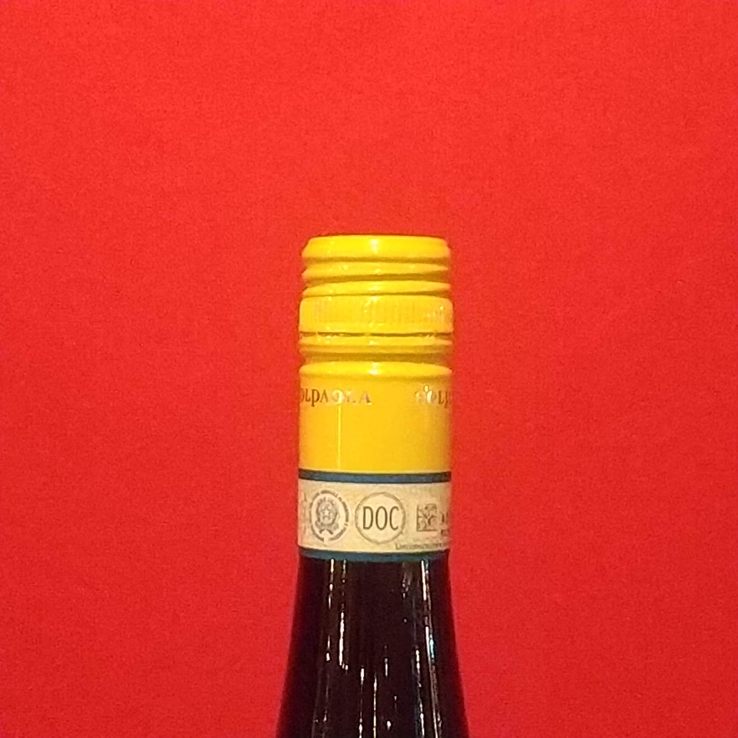 ヴェルディッキオディマテリカ/コルパオラ 🟨白