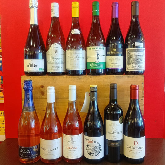 ワイン試飲販売会　12種類テイスティング　2月14日（土）、26日（木）　札幌市中央区　ワインショップPINOTピノ