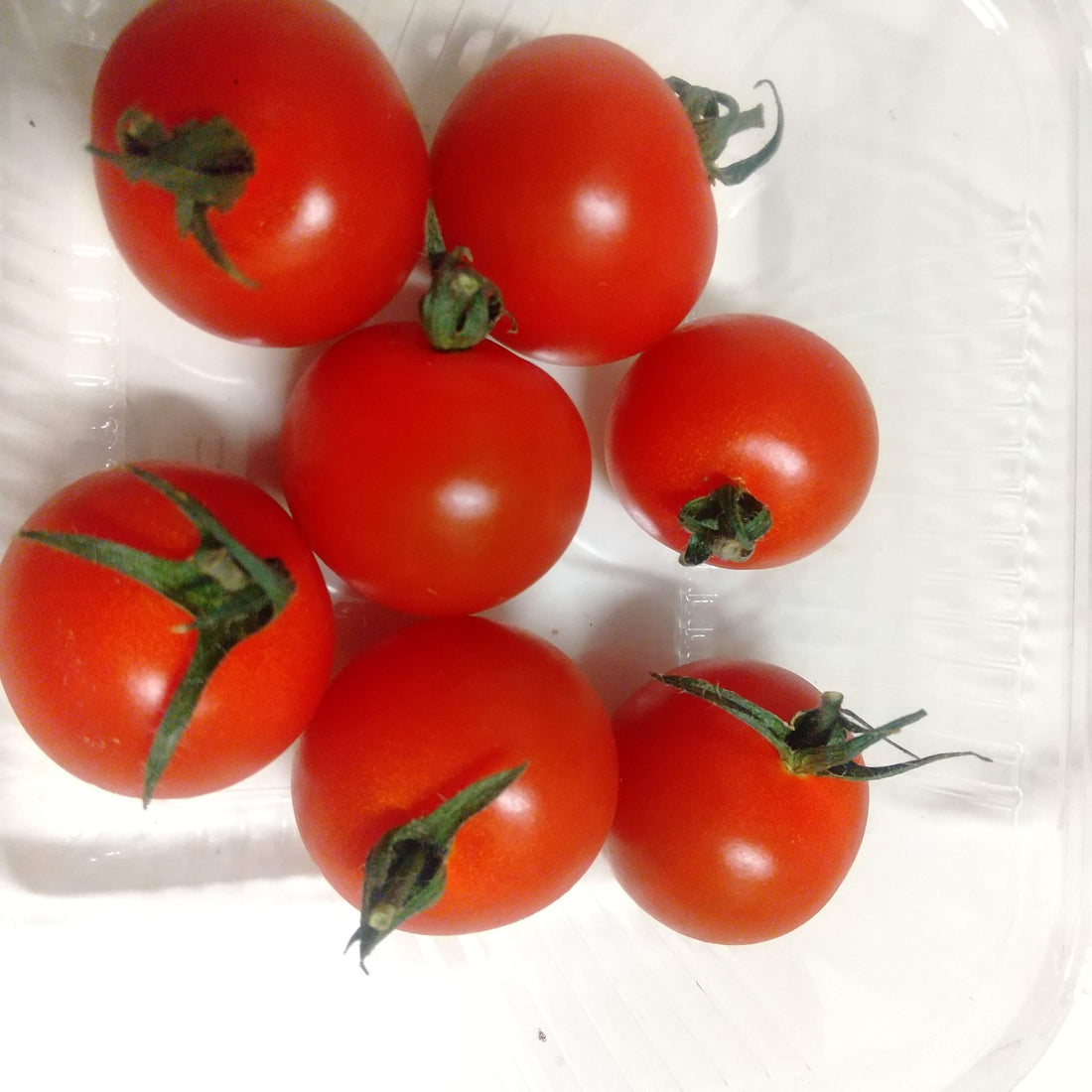 あのミニトマト🍅に合うワイン