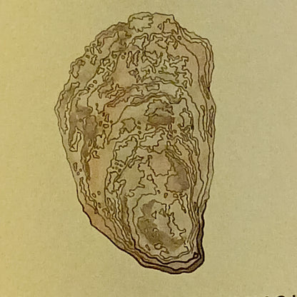 シャトー　マグドレーヌ　ブーウー　シャルドネ　2023