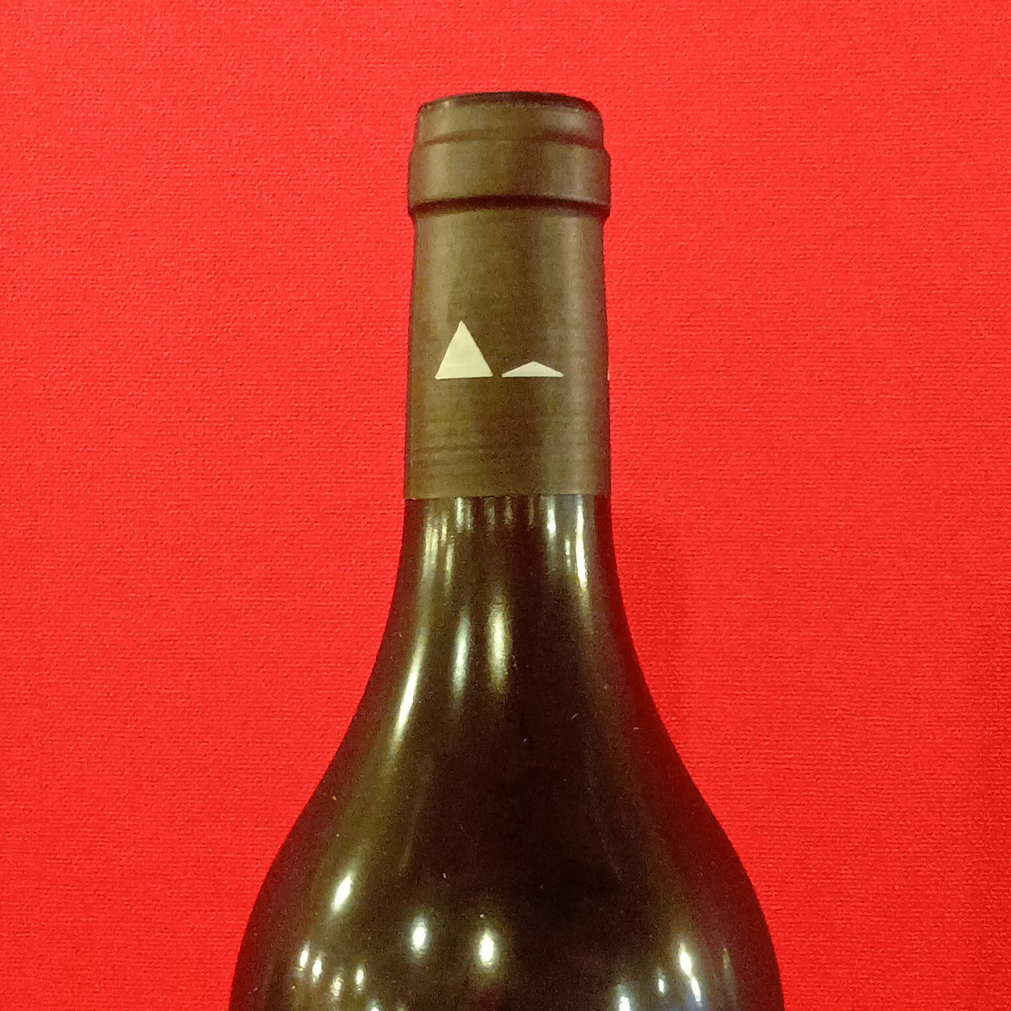 シャトー　ピュイナール　カベルネ　シェーヌ　2020　