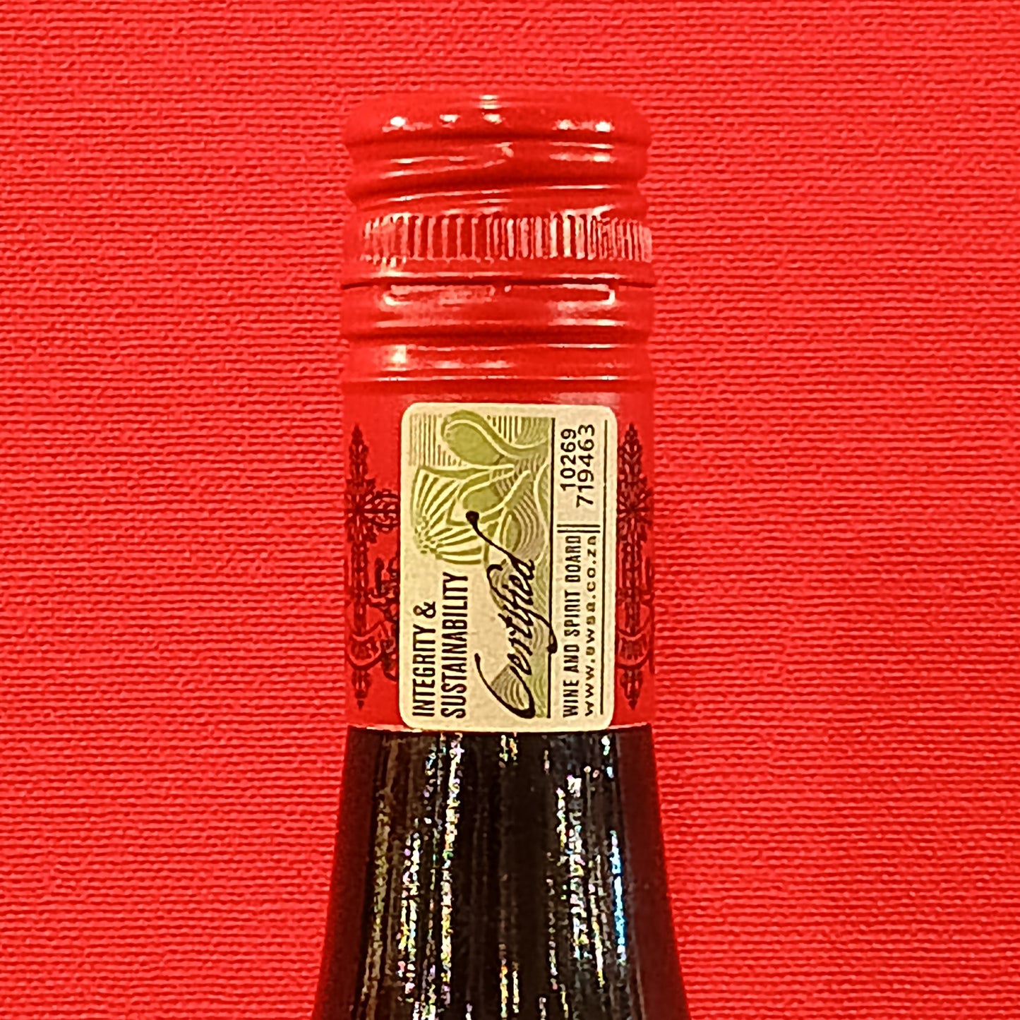 サン・シェーヌ・ピノ・ノワール　2023　クルーガー・ファミリー・ワインズ