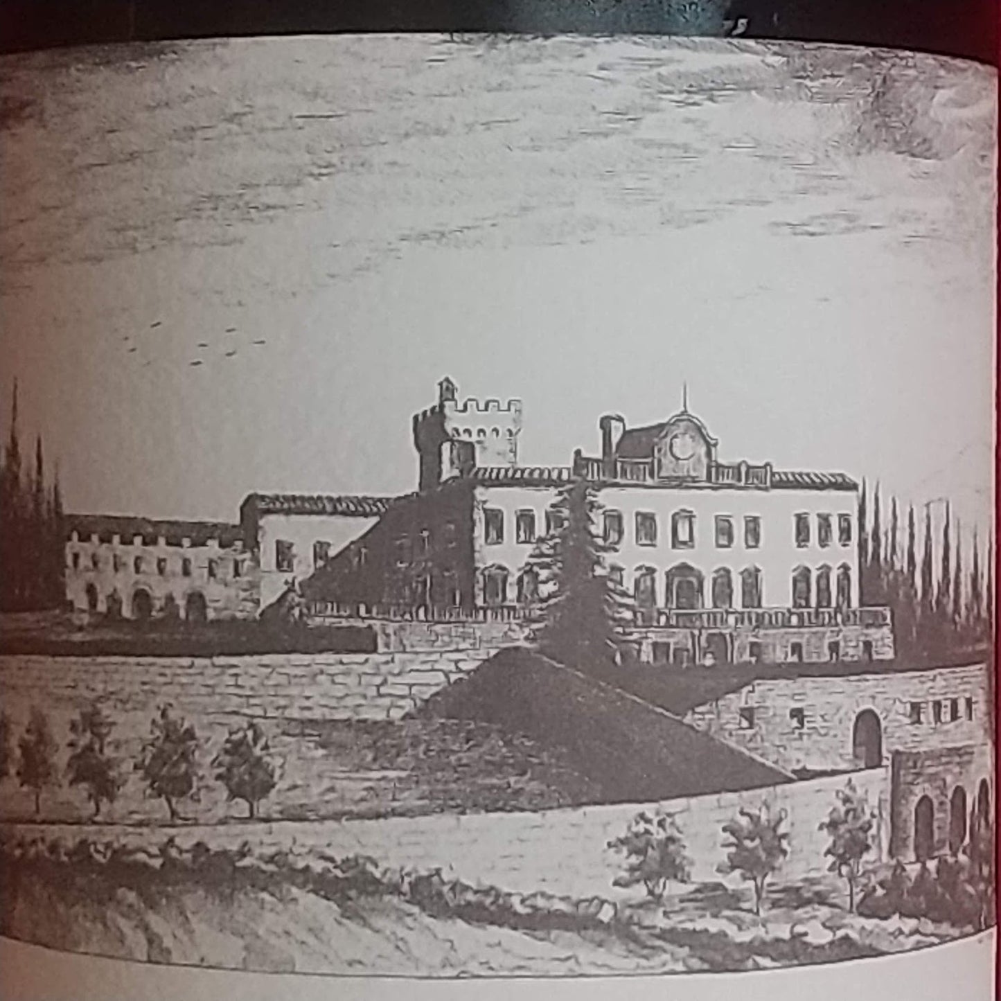 バディア・ア・コルテ/キャンティ　コッリ・フィオレンティーニ  リゼルヴァ　2018 /トッレアコーナ　🟥赤