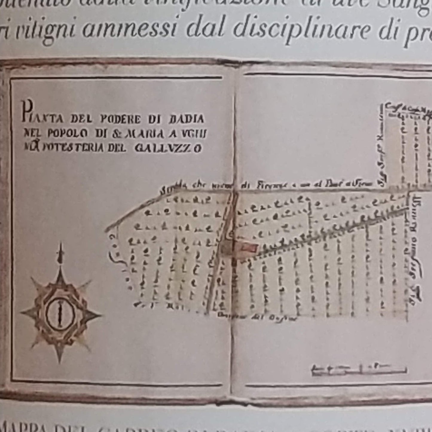 バディア・ア・コルテ/キャンティ　コッリ・フィオレンティーニ  リゼルヴァ　2018 /トッレアコーナ　🟥赤