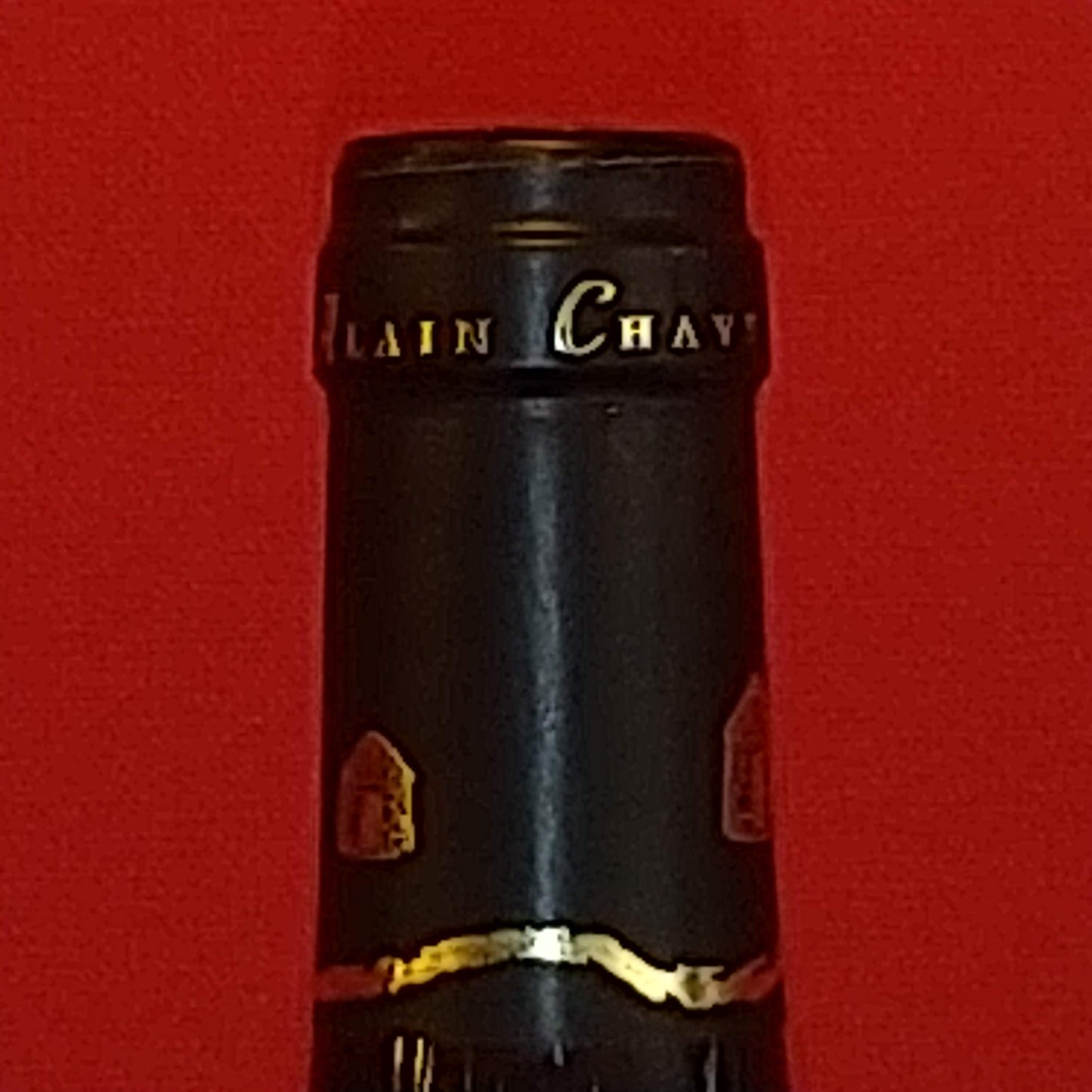 ブルゴーニュ・シャルドネ /　アラン・シャヴィ 2021　🟨白