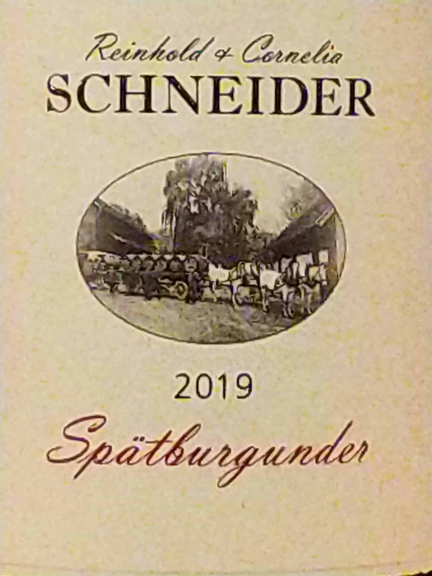 シュペートブルグンダー クヴァリテーツヴァイン トロッケン/ワイングート ラインホールト コーネリア シュナイダー　2019　🟥赤