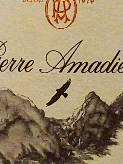 ジゴンダス  ル・パ・ド・レイグル2017ピエール・アマデュー　🟥赤