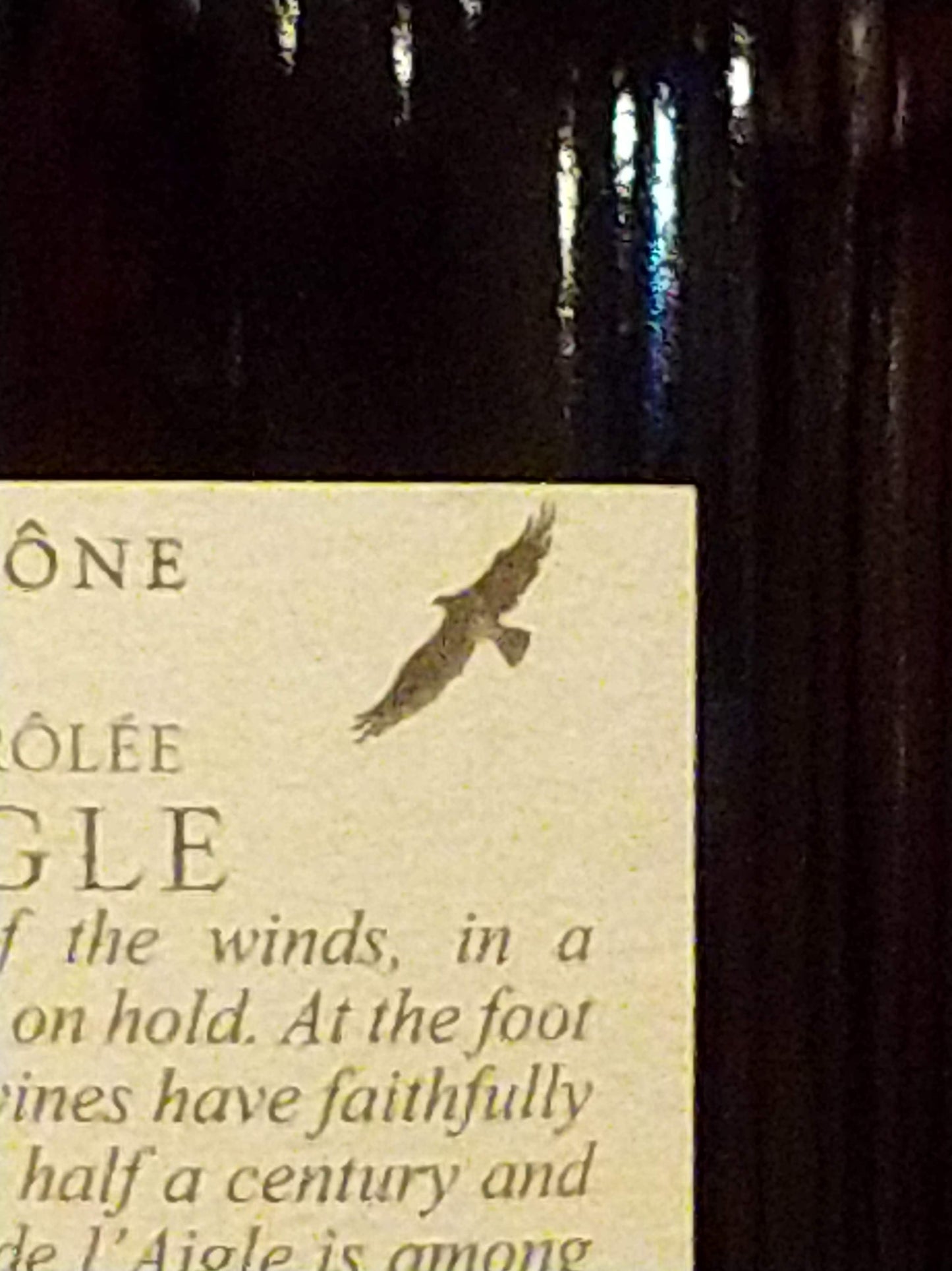 ジゴンダス  ル・パ・ド・レイグル2017ピエール・アマデュー　🟥赤