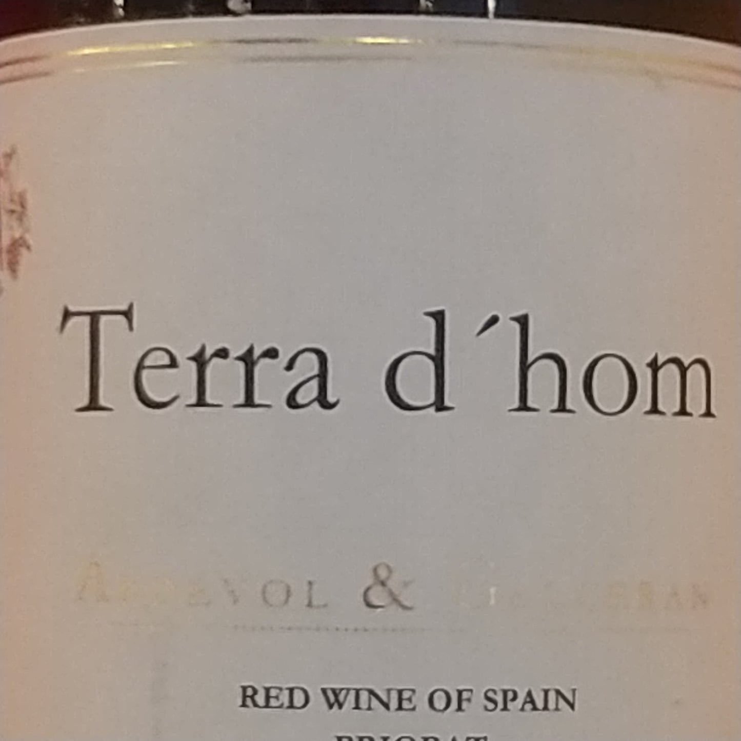 テラ　ドーム/アルデボル 2017　🟥赤