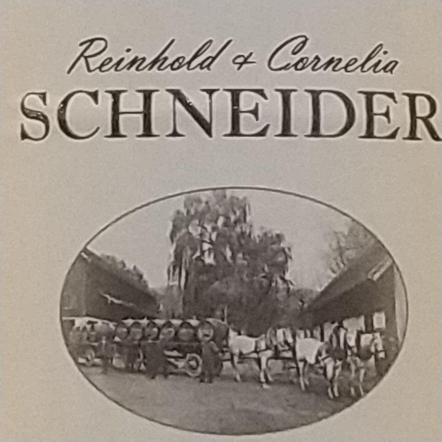 シュペートブルグンダー　トロッケン　エンゲルスベルク Spätburgunder Qualitätswein Trocken Engelsberg　2014　🟥赤