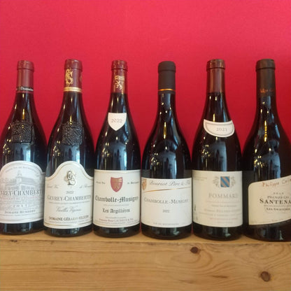 ブルゴーニュ🟥赤　「一級畑、村名格」　6本セット📦️
