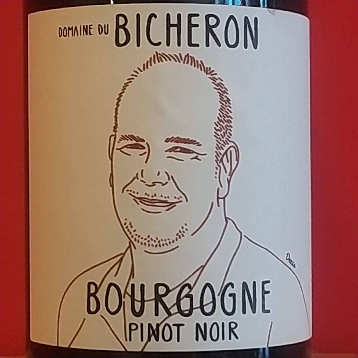 ブルゴーニュ ピノ ノワール  2022　ドメーヌ デュ ビシュロン