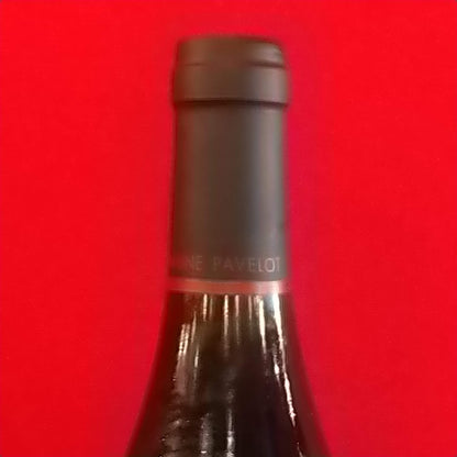 PAVELOT, Jean-Marc et Huguesパヴロ　ジャン・マルク＆ユーグ　Bourgogne Pinot Noir　2021年