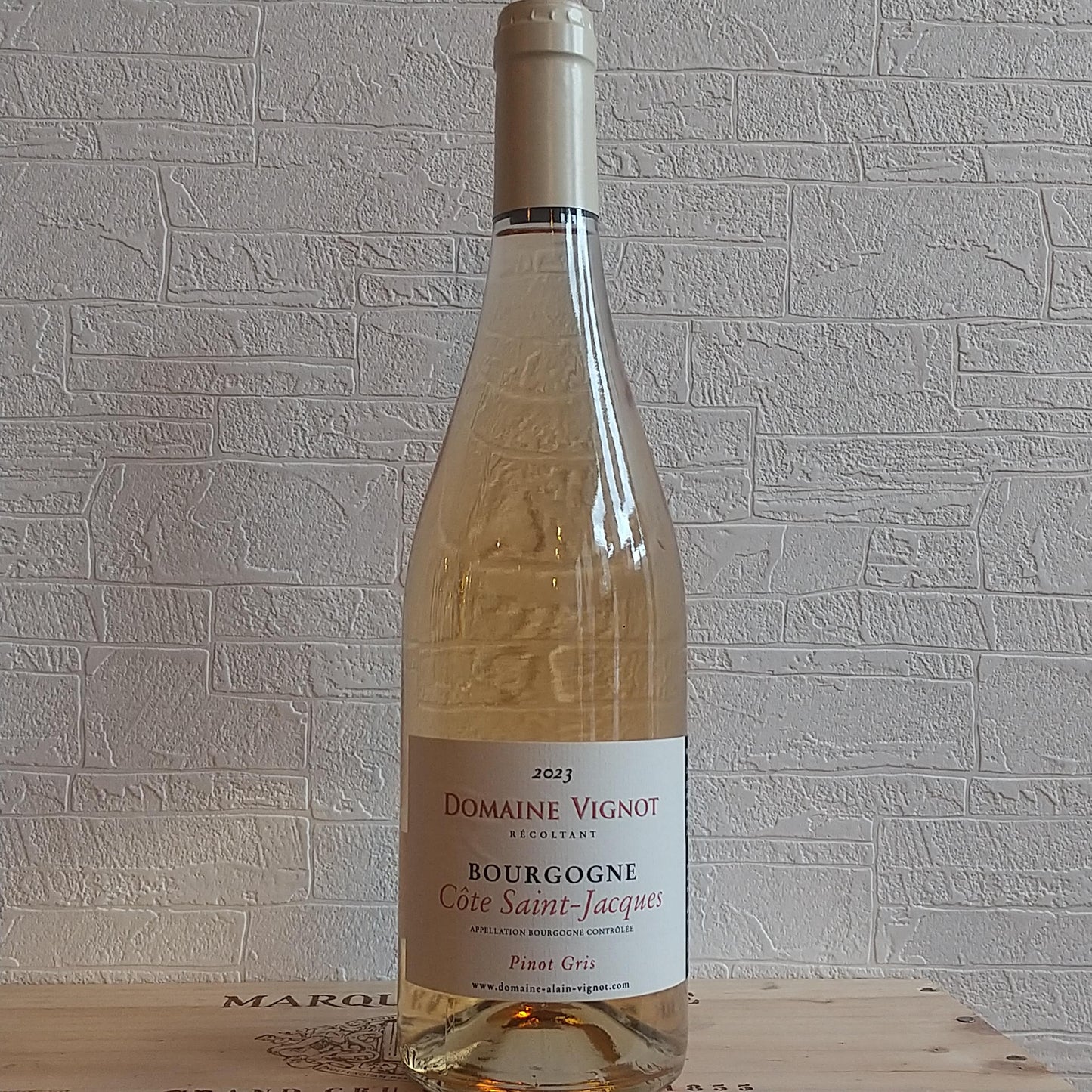 ブルゴーニュ コート サンジャック ピノグリ 2023ドメーヌ アラン ヴィニョ