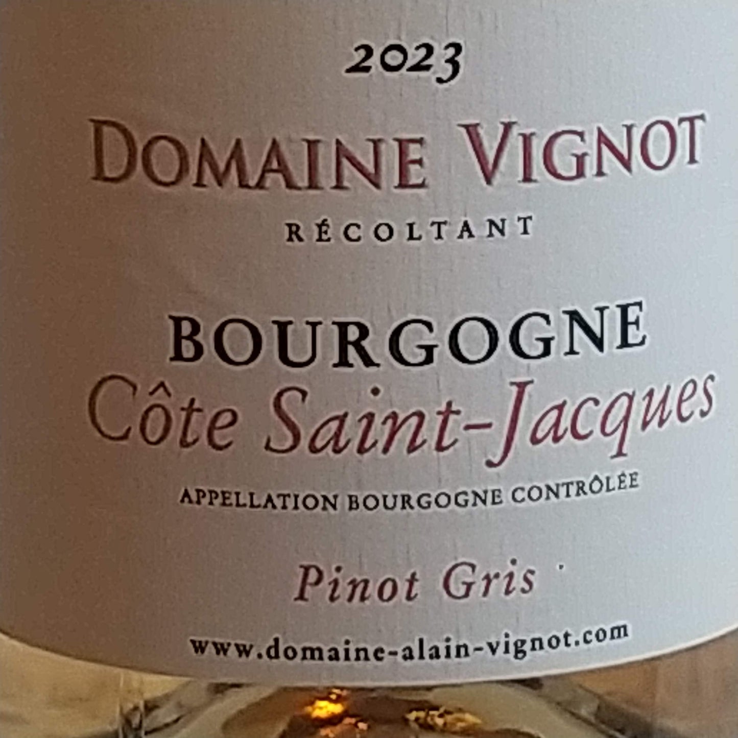 ブルゴーニュ コート サンジャック ピノグリ 2023ドメーヌ アラン ヴィニョ
