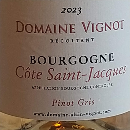 ブルゴーニュ コート サンジャック ピノグリ 2023ドメーヌ アラン ヴィニョ