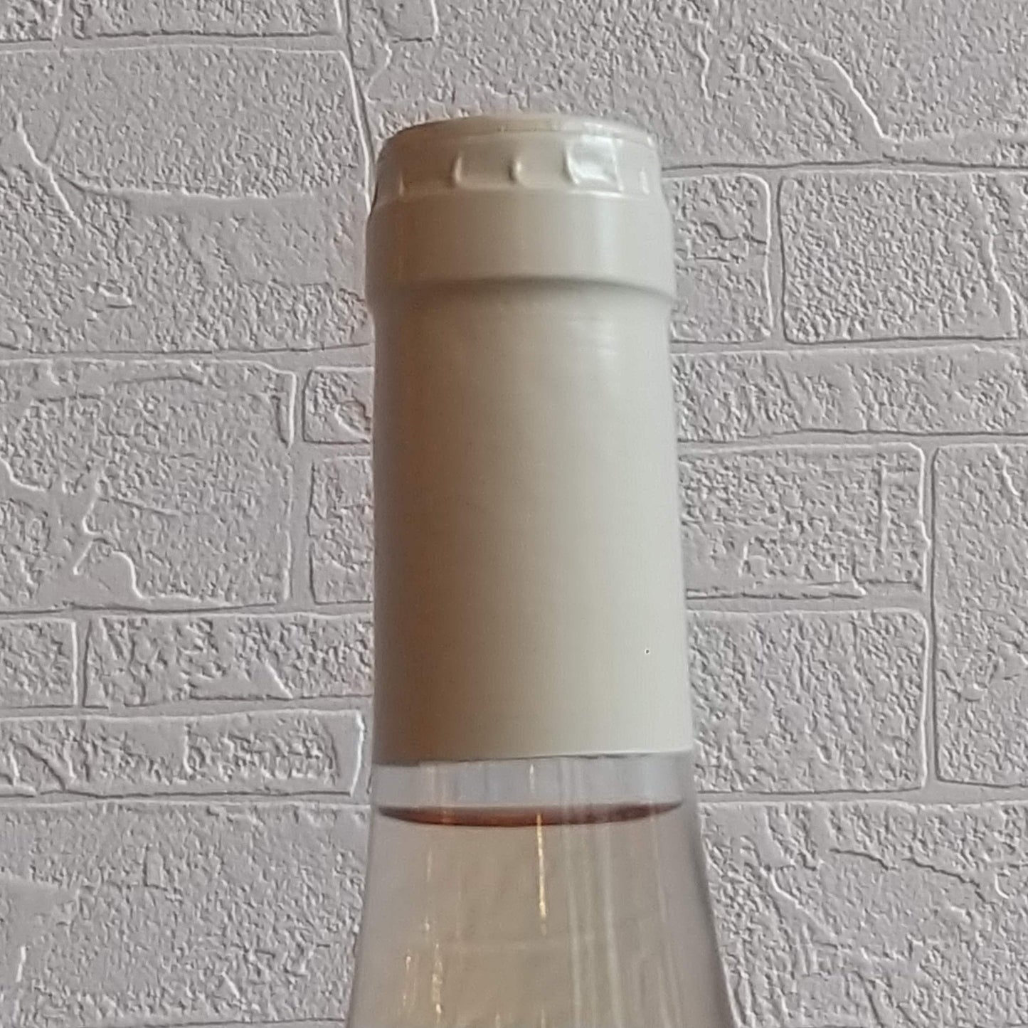 ブルゴーニュ コート サンジャック ピノグリ 2023ドメーヌ アラン ヴィニョ