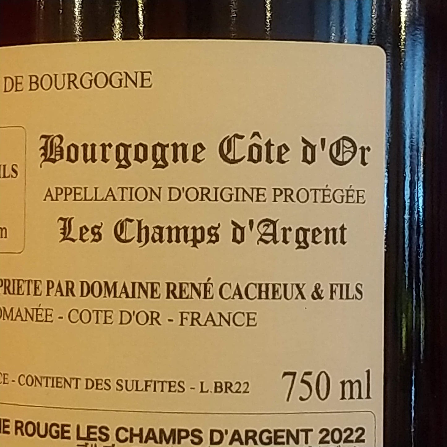 ブルゴーニュ　ルージュ　レ・シャン・ダルジャン　2022　ルネ・カシュー