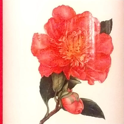 フロール・デ・カステル 2022